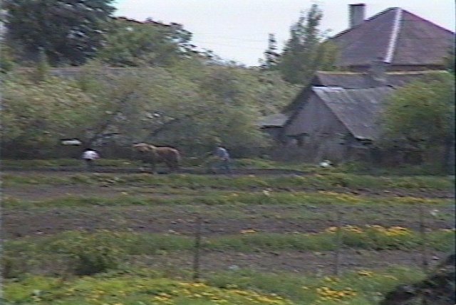 File 29 - Photo - Plowing,
                              1996.jpg