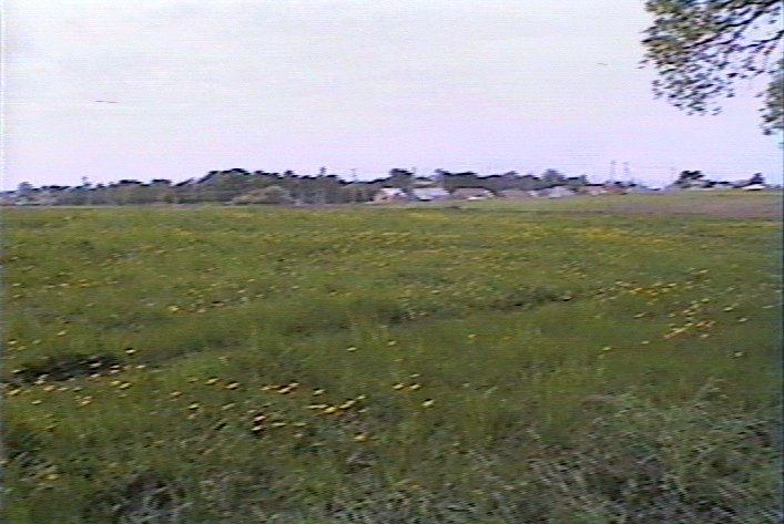 File 32 - Photo - View of
                              Siaulenai from the Cemetery, 1996