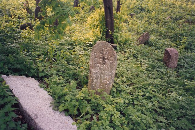 Jewish cemetery with toppled headstones
                          and underbrush, 1996