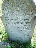 Sokyrnytsia-tombstone-246