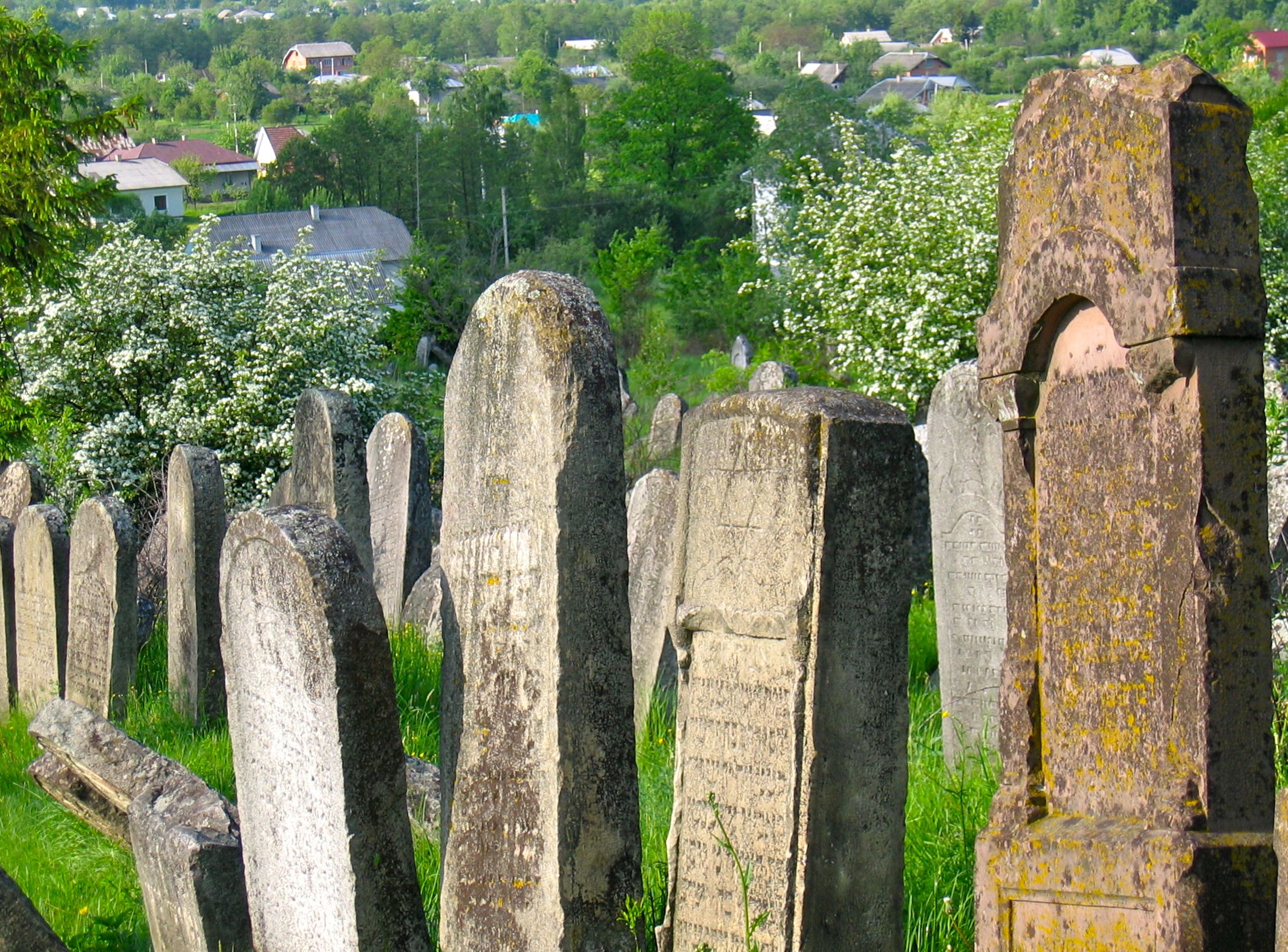 Solotvny
                        Jewish cemetery