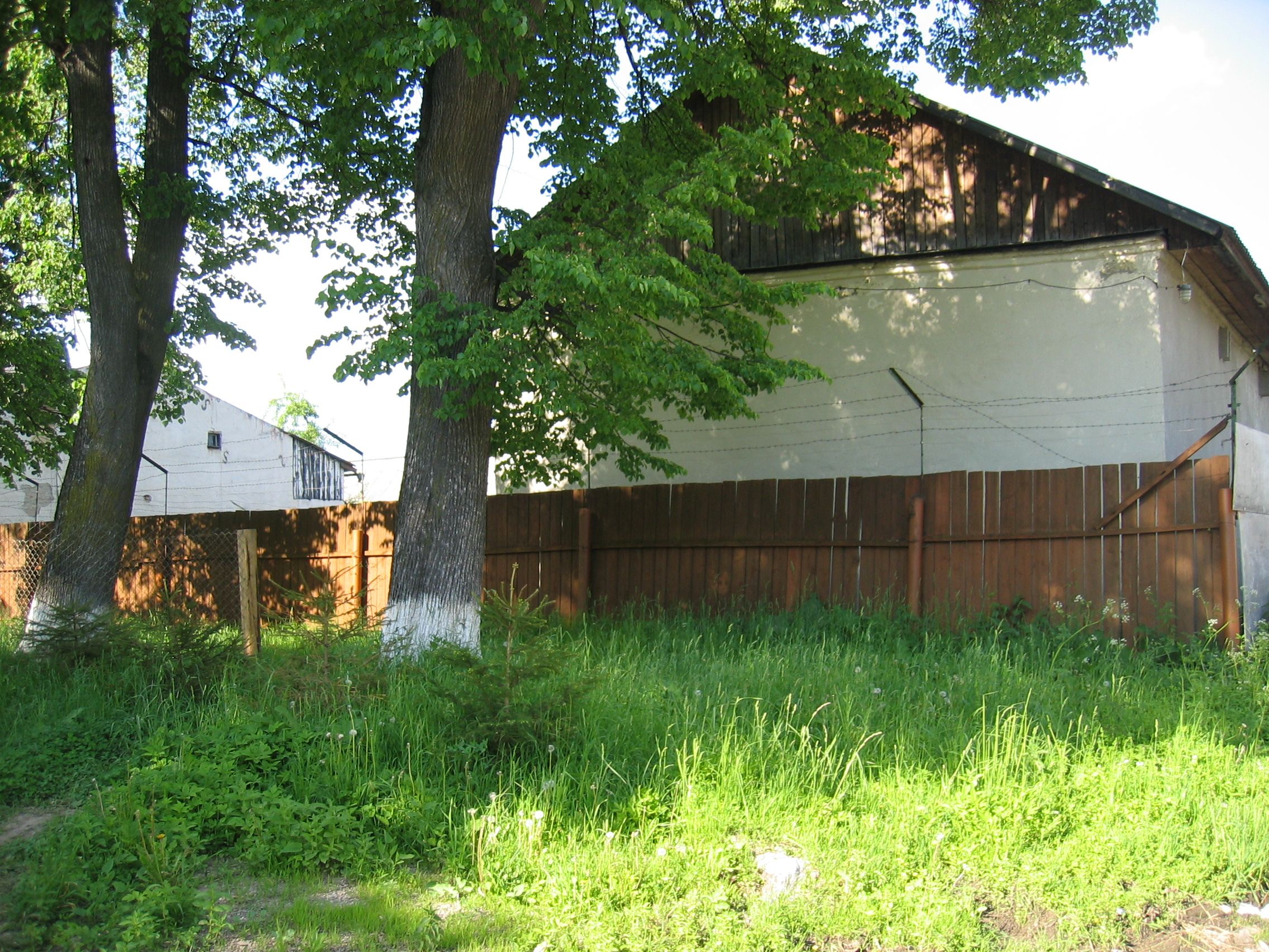 Buildings adjacent to
                synagogue