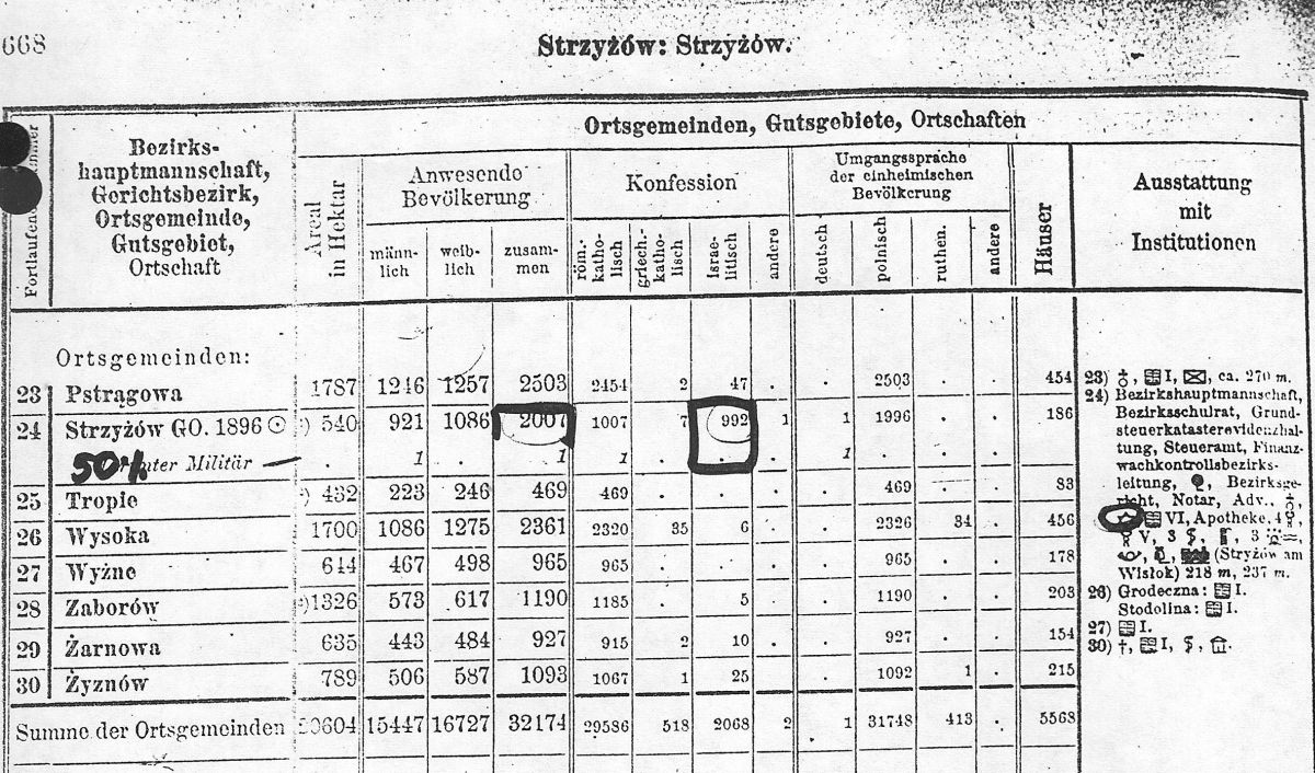 The Strzyzow census