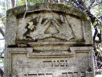 P1010253