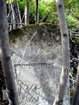 P1010263