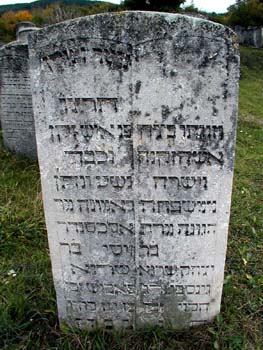 P1010389