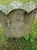 Svalyava-Cemetery-stone-308