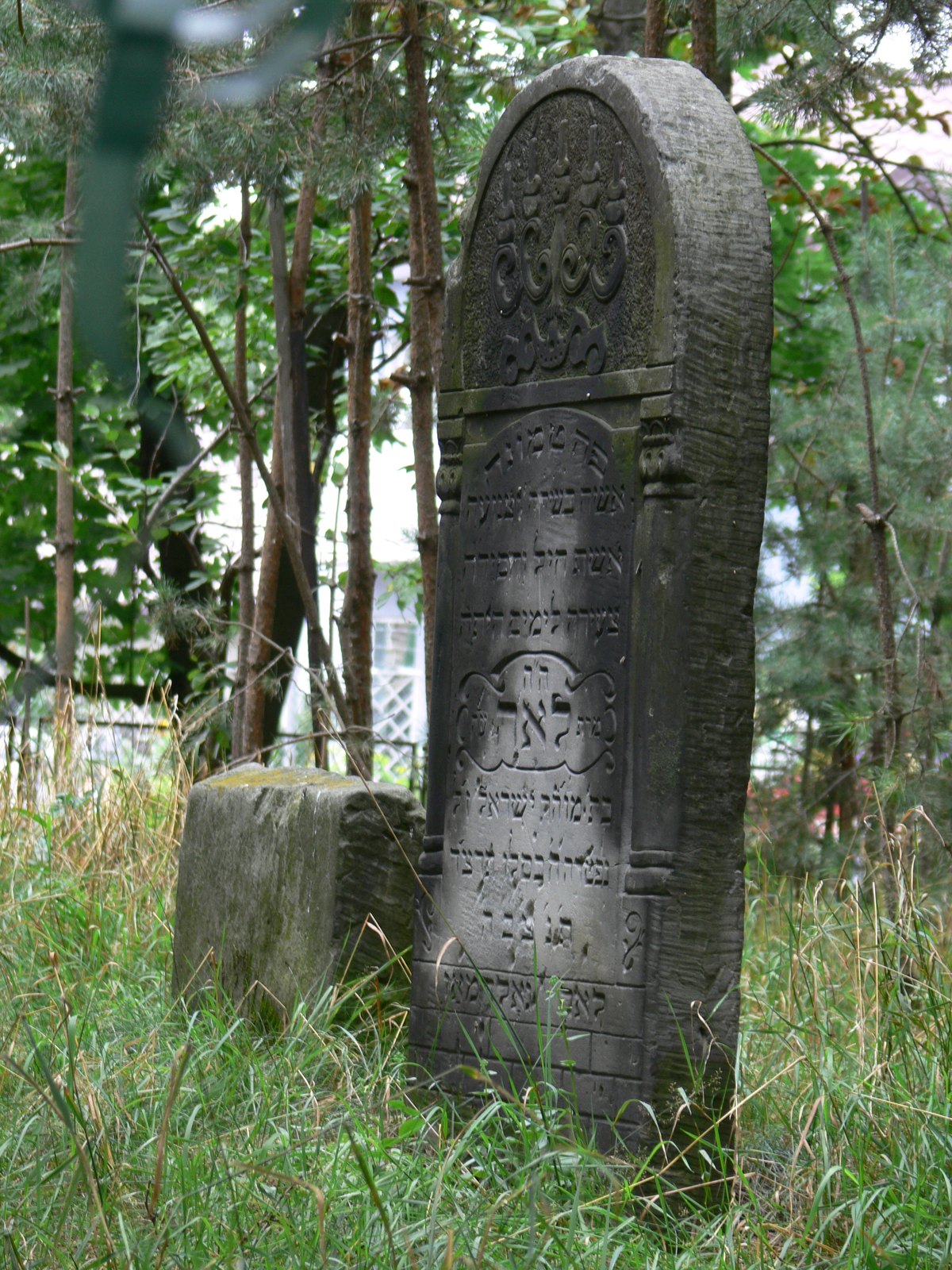 Surviving Jewish gravestone in the Jewish cemetery in Tarnobrzeg