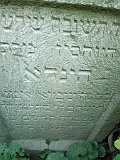 Teresva-tombstone-165