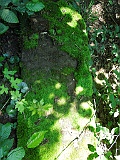 Ternove-tombstone-renamed-153
