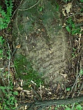 Ternove-tombstone-renamed-251