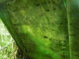 Ternove-tombstone-renamed-292
