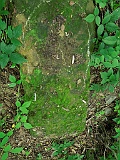 Ternove-tombstone-renamed-297