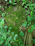 Ternove-tombstone-renamed-316