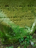 Ternove-tombstone-renamed-338