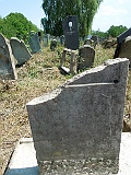 Tyachiv-tombstone-139