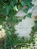 Tyachiv-tombstone-271