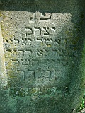 Tyachiv-tombstone-308
