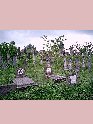 Ermihalyfalva-Cemetery-stone-13