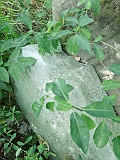 Veryatsya-tombstone-079
