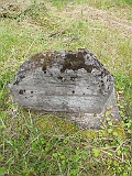 Vilkhivka-stone-347