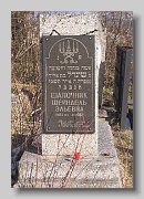 Vynohradiv-new-cemetery-029