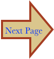 Next Page
