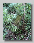 Zaluzhzhia-Cemetery-stone-005
