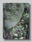 Zaluzhzhia-Cemetery-stone-014