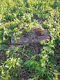 Zhnyatyno-tombstone-123