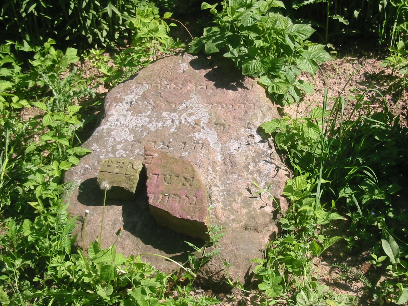 Last headstone, also not in place in Bocki 1. May 2005, Abraham son of Mordechay from Drohiczyn (a nearby town) passed 18 Elul 1848.