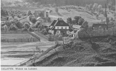 Delatyn. Widok na Lubizni. (circa 1920)