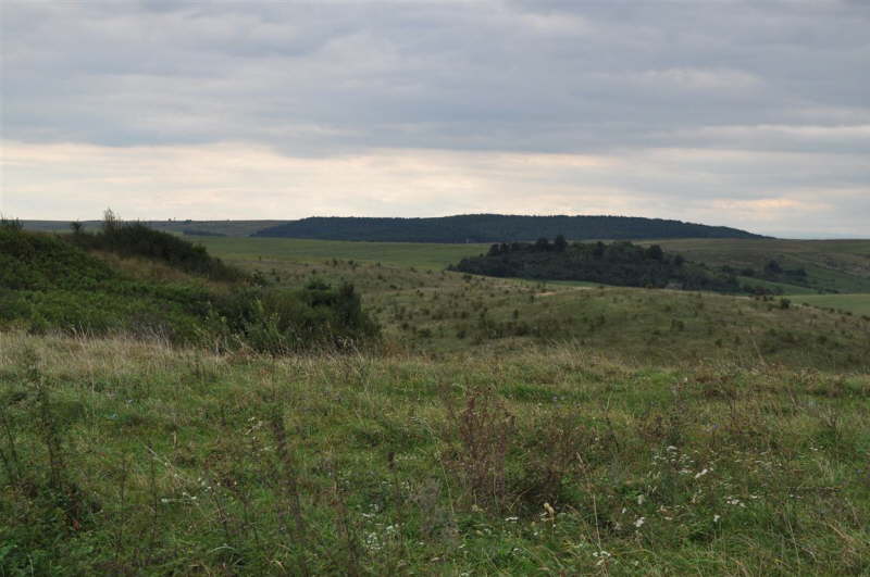 Horodenka Countryside