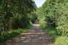 Road to Mass Grave of Horodenka Martyrs