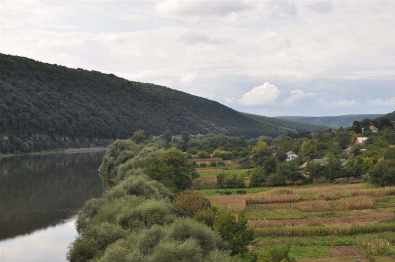 View of Dneister and Forest