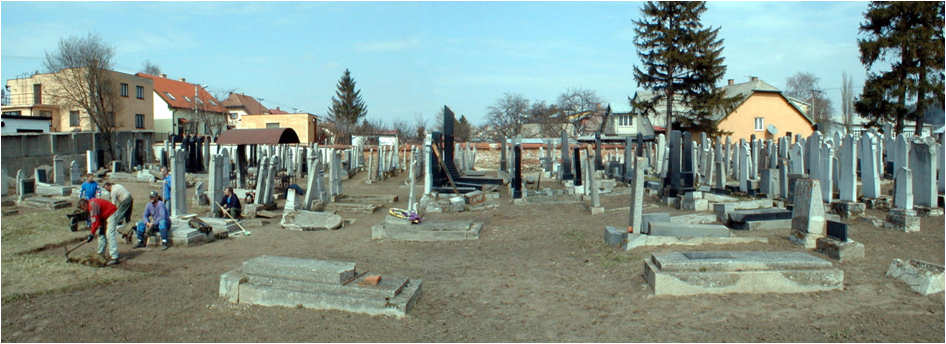 Kezmarok Cemetery Cleanup, Panoramic View