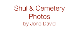 Shul & Cemetery Photos
by Jono David