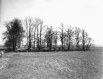 Klykoliai
          cemetery 1990