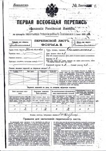 Kosów Poleski, Kosava: 1895 Russian Census Document