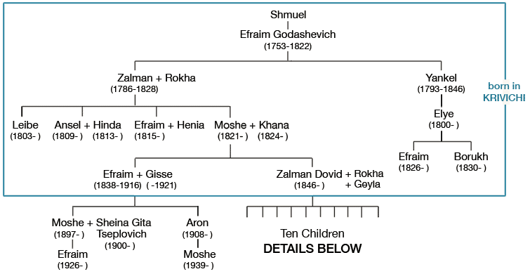 Godashevich family tree