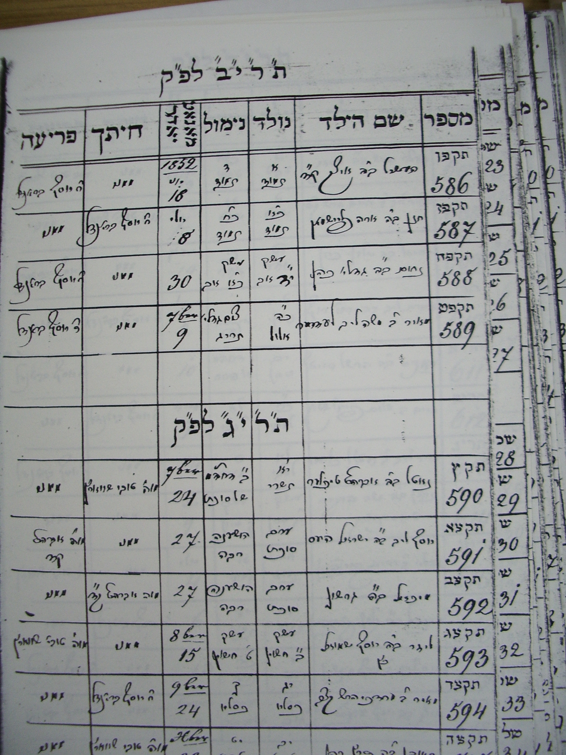 Mohel1852