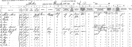 Manifest of Rafael Zmudziak of Lechowicze going to Newark NJ 1899