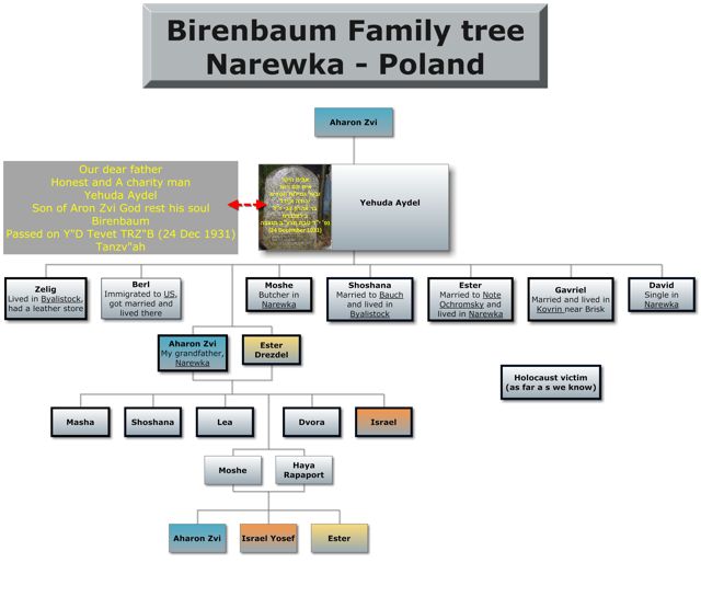 Birenbaum Family
              Tree