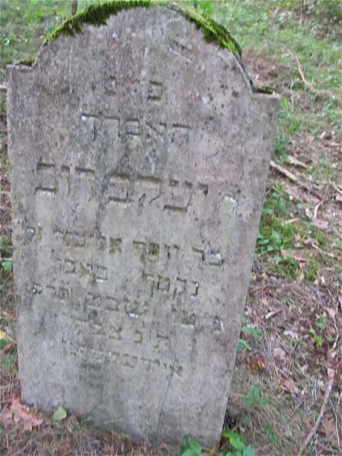 Photo of Yaacov Dov
                      Edelman's gravestone