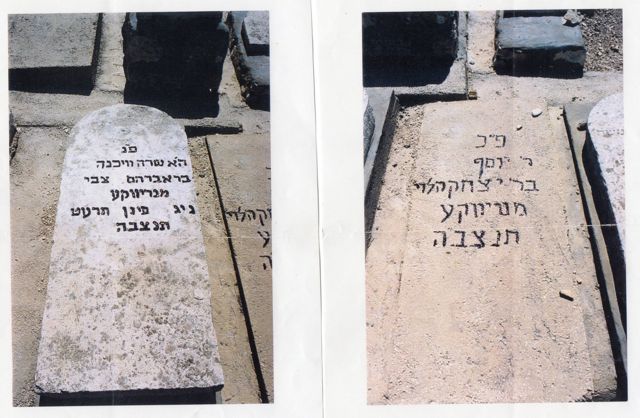 Graves of Sarah and Joseph
        Levitsky