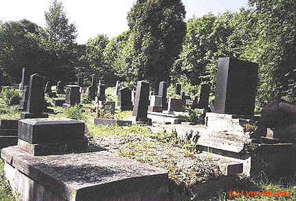 View of Cemetery