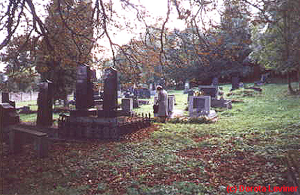 Cemetery View