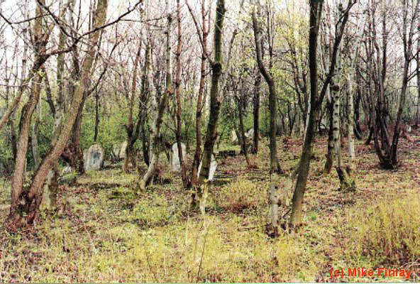 Old graves