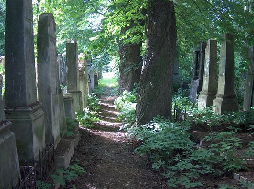 An old pathway between the graves