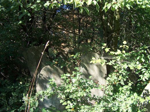 Old headstones among the trees